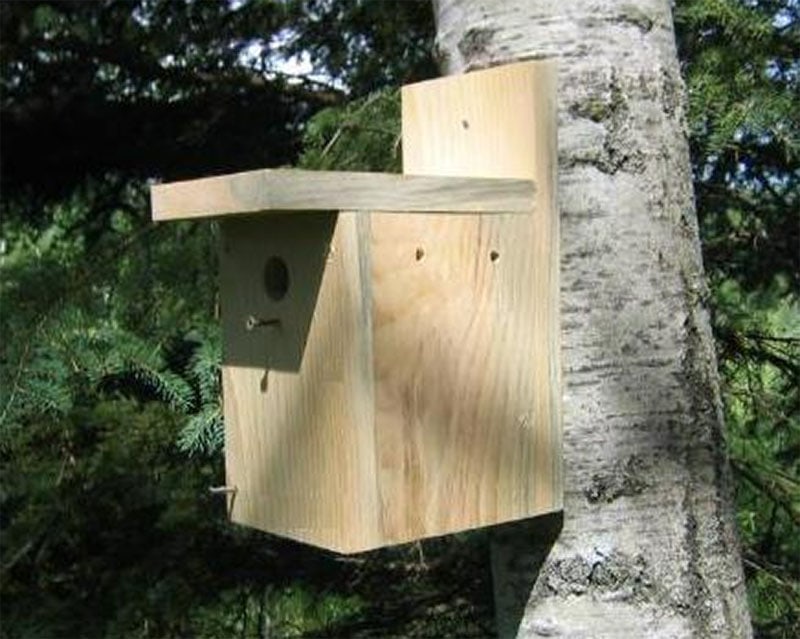 10 DIY Finch Bird House Plans You Can Build Today (with Pictures ...