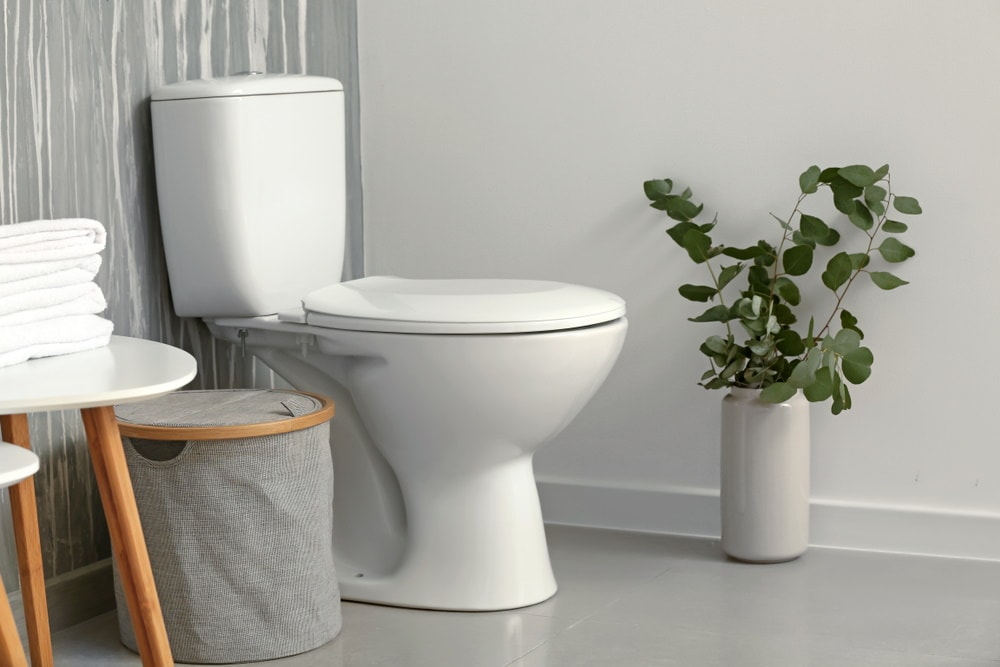 Top 5 Best Toilets At William Hooker Blog   Shop Toilet 