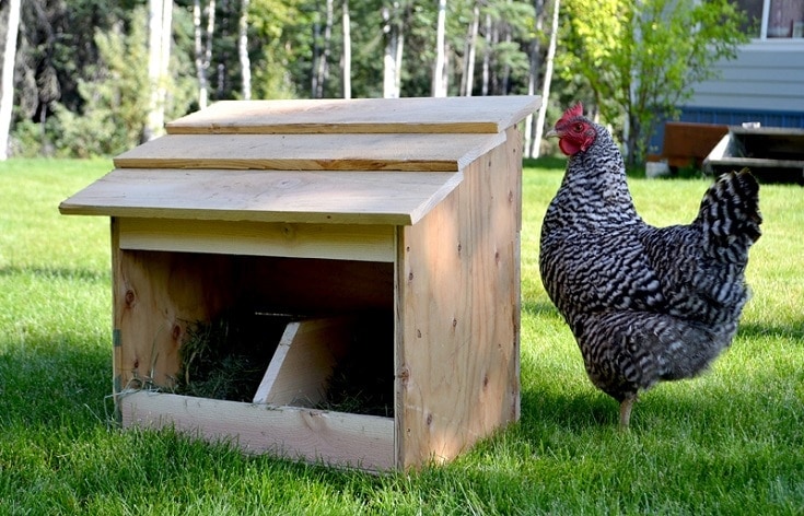 11 DIY Chicken Nesting Box Plans You Can Make Today House Grail