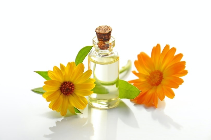 Sunflower oil