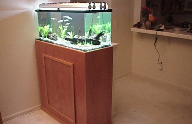 The Aquarium Stand