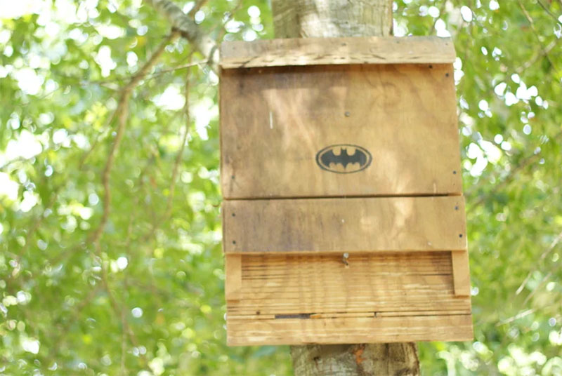 The Bat House Plans From Instructables