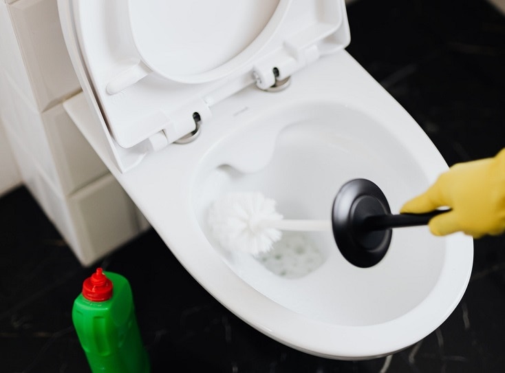 Toilet Brush