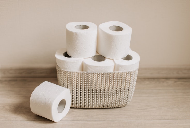 25 Diy Toilet Paper Holder Ideas You