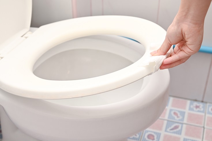 Which Is Better Plastic Or Wood Toilet Seat