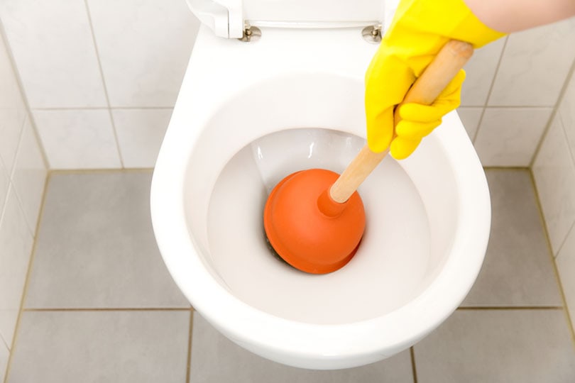 9 Ways to Fix a Clogged Toilet (Quick & Easy)