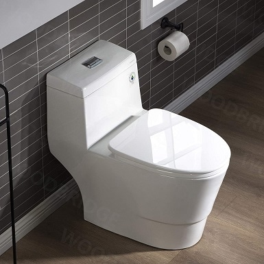 10 Best Woodbridge Toilets In 2024 - Reviews & Top Picks | House Grail