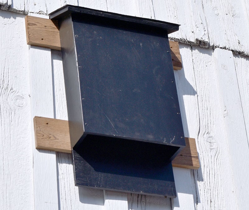 WWGOA’s Bat House Plans