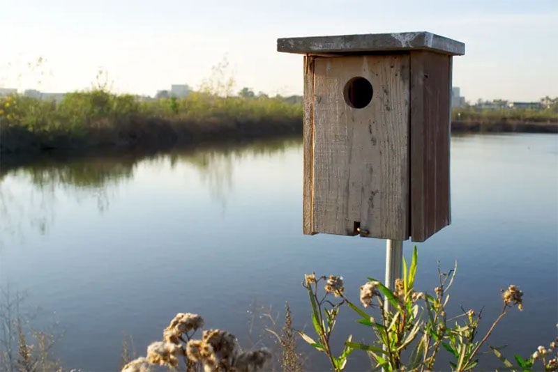 Wood Duck Box with Cutting List from Felt Magnet