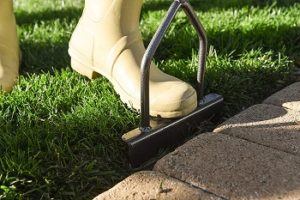 10 Best Manual Lawn Edgers of 2024 - Reviews & Top Picks | House Grail