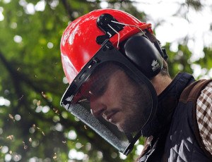 Forestry Chainsaw Marble Stone Safety Helmet With Ear Defender And Face Mask 