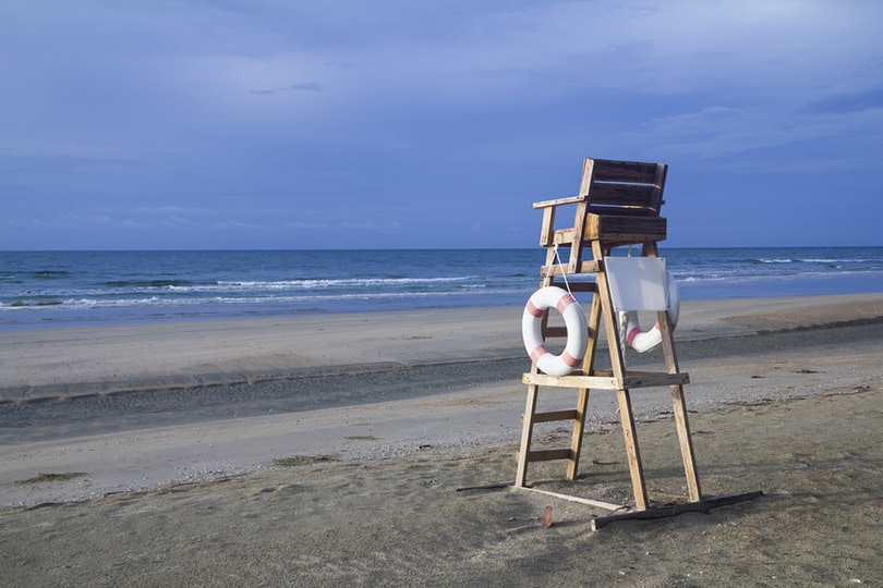 gone coastal lifeguard chairs