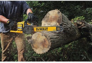 an electric chainsaw
