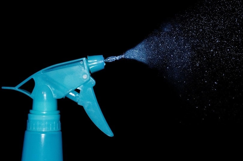 cleaning spray-pixabay