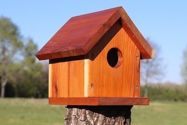 28 Beautiful DIY Birdhouse Plans You Can Build Today (with Pictures ...