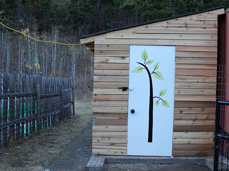 diy budget friendly goat barn