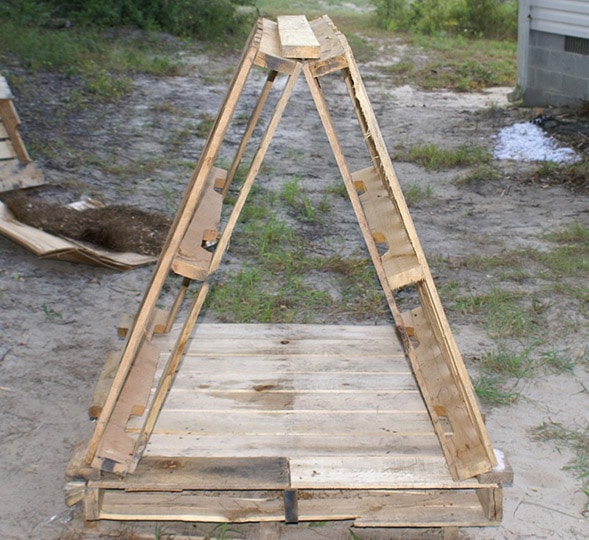 diy pygmy goat pallet house