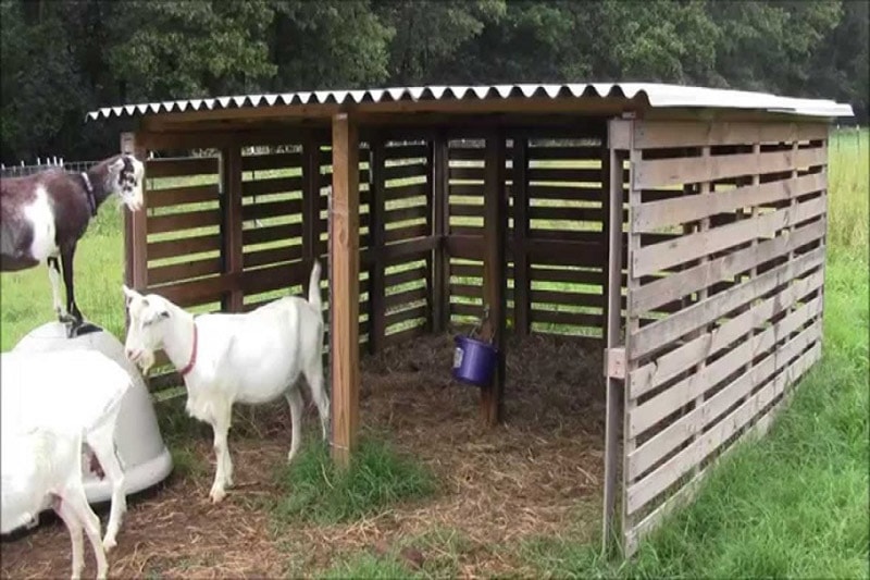 diy wood pallet shelter