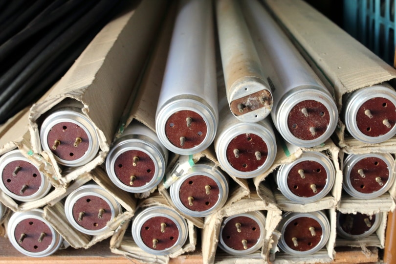 How to Dispose of Fluorescent Tubes Safely What You Need to Know