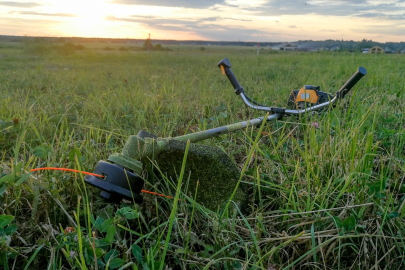 The 10 Best Weed Eaters of 2023