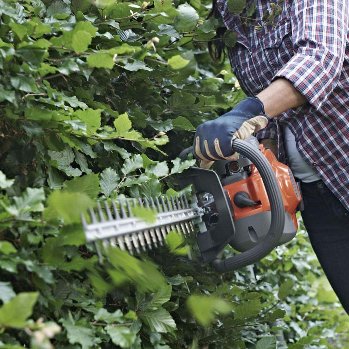 best commercial hedge trimmer