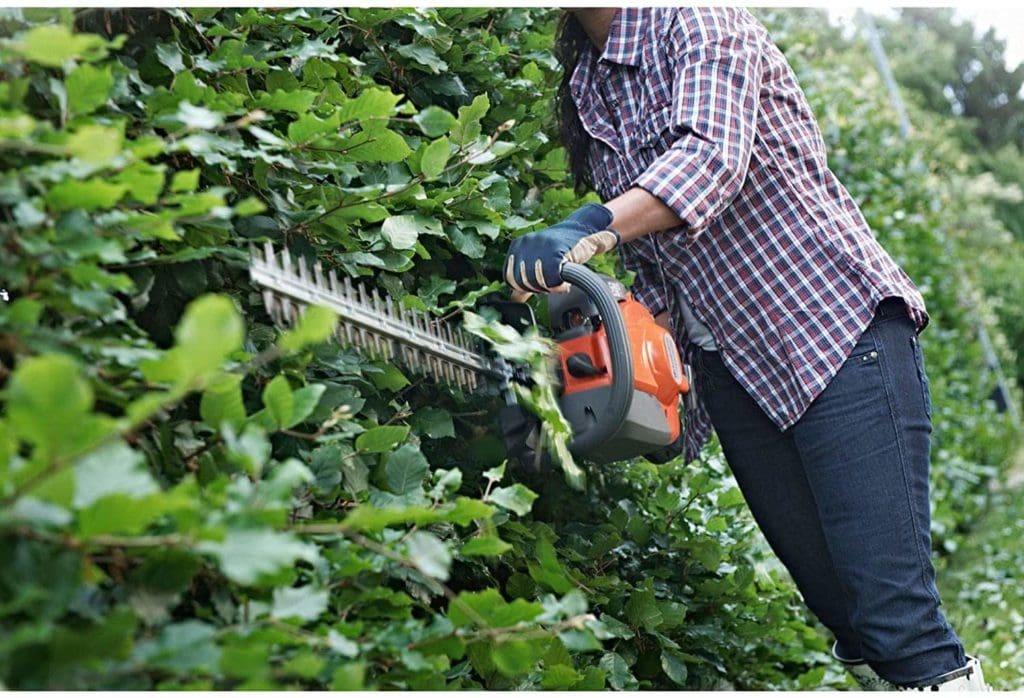 7 Best Gas Hedge Trimmers of 2024 Reviews & Top Picks House Grail