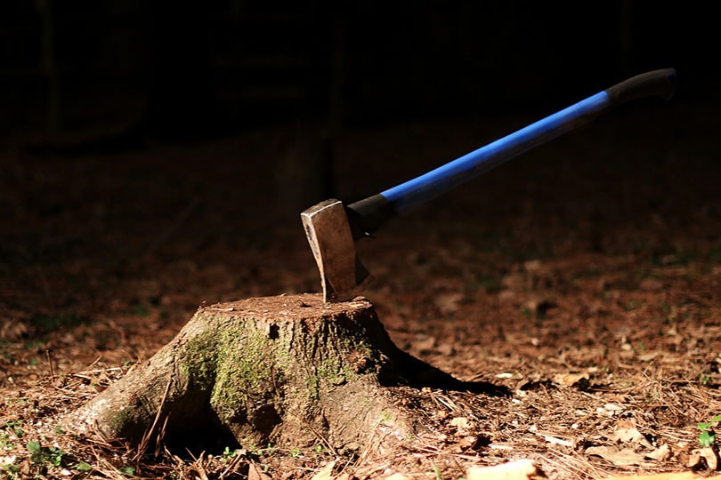 splitting axe on tree stump