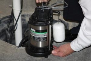 10 Best Sump Pumps Of 2024 - Top Picks & Reviews | House Grail