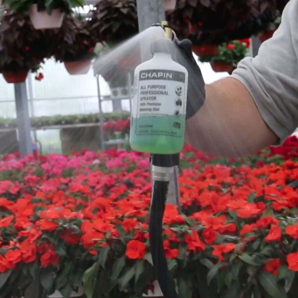 using Chapin International G362 All-Purpose Hose-End Sprayer