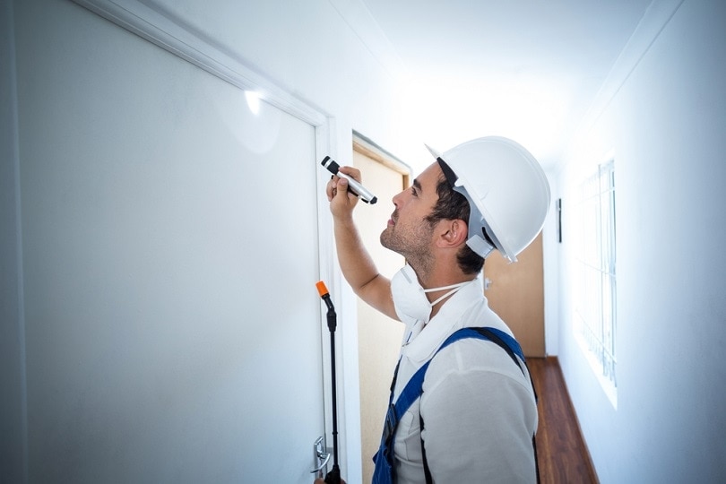 using-flashlight-in-hallway