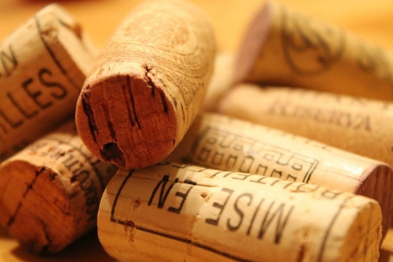 wine cork-pixabay