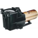 Hayward 1.5 HP Inground Pool Pump
