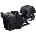 Hayward Inground Pool Pump