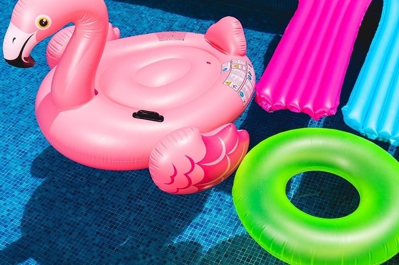 Pool Inflatables Ifreestock 