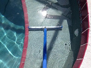 a pool brush