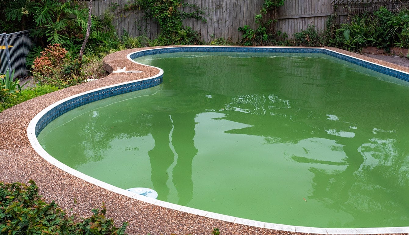 How Do I Get Rid Of Algae In My Saltwater Pool