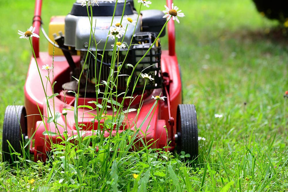 Petrol lawnmower online smoking