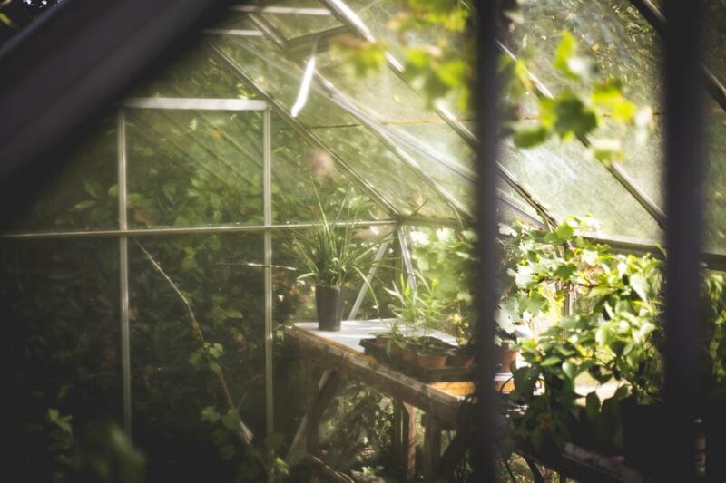 potting bench inside the greenhouse