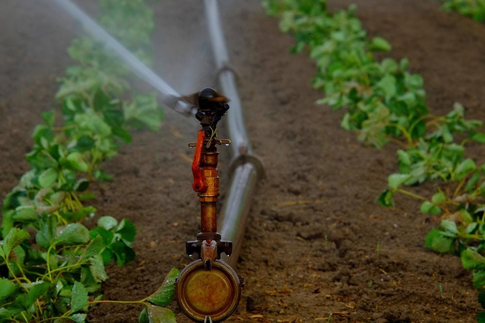 water sprinkler for irrigation