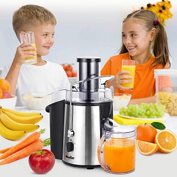 with Recipes for Multiple High Nutrient Juice Safe Lock Reserve Function Slow Masticating Juicer for Hard & Soft Vegetable and fruit Juicer Machines Easy to Clean Quiet Motor 