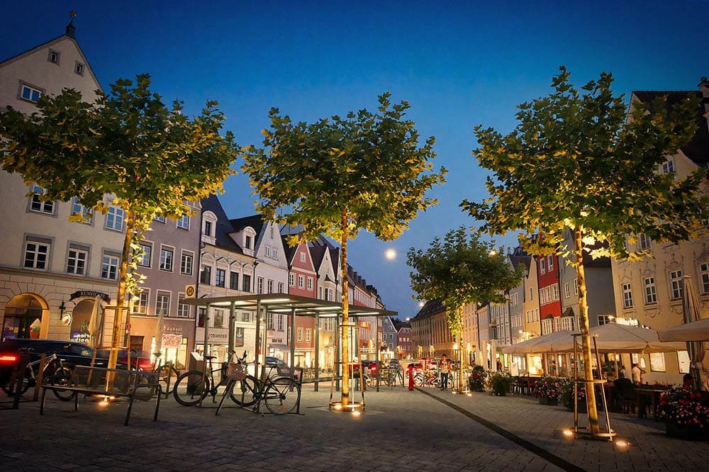 Elm Trees in the main square