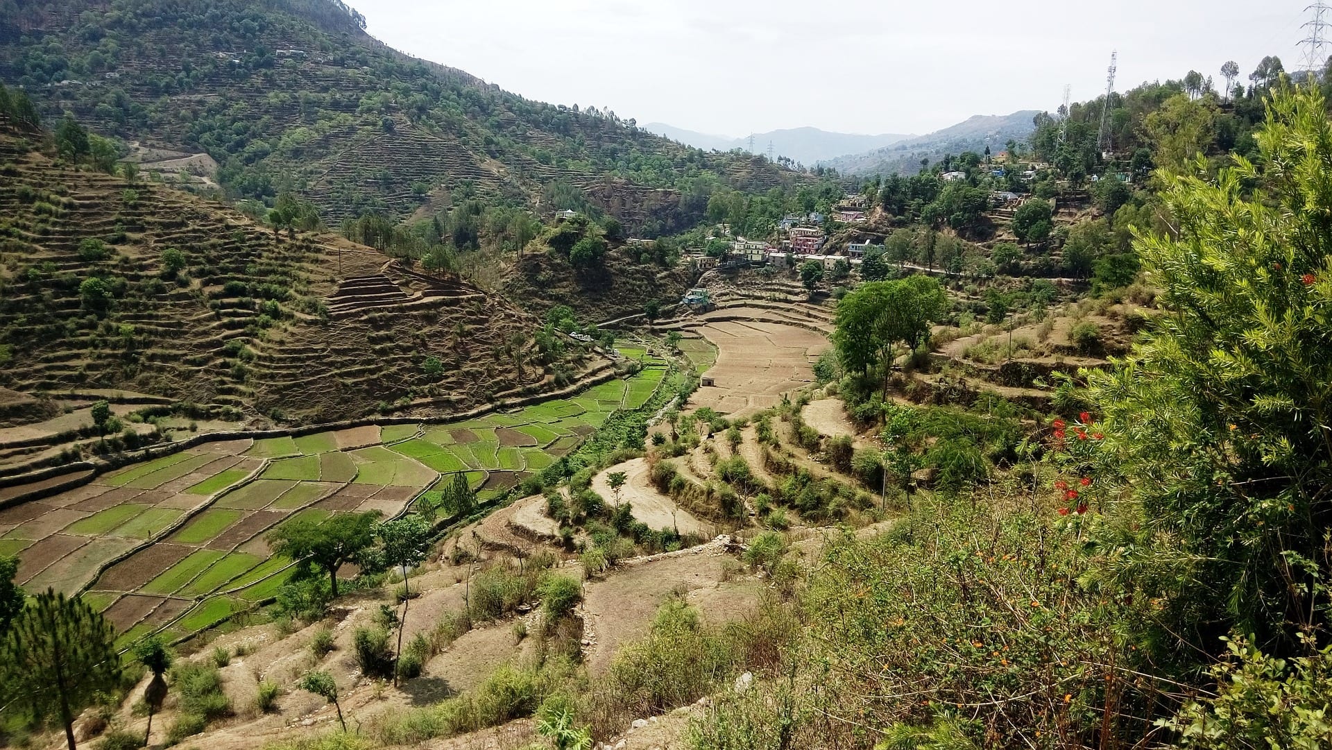 Indian Hills