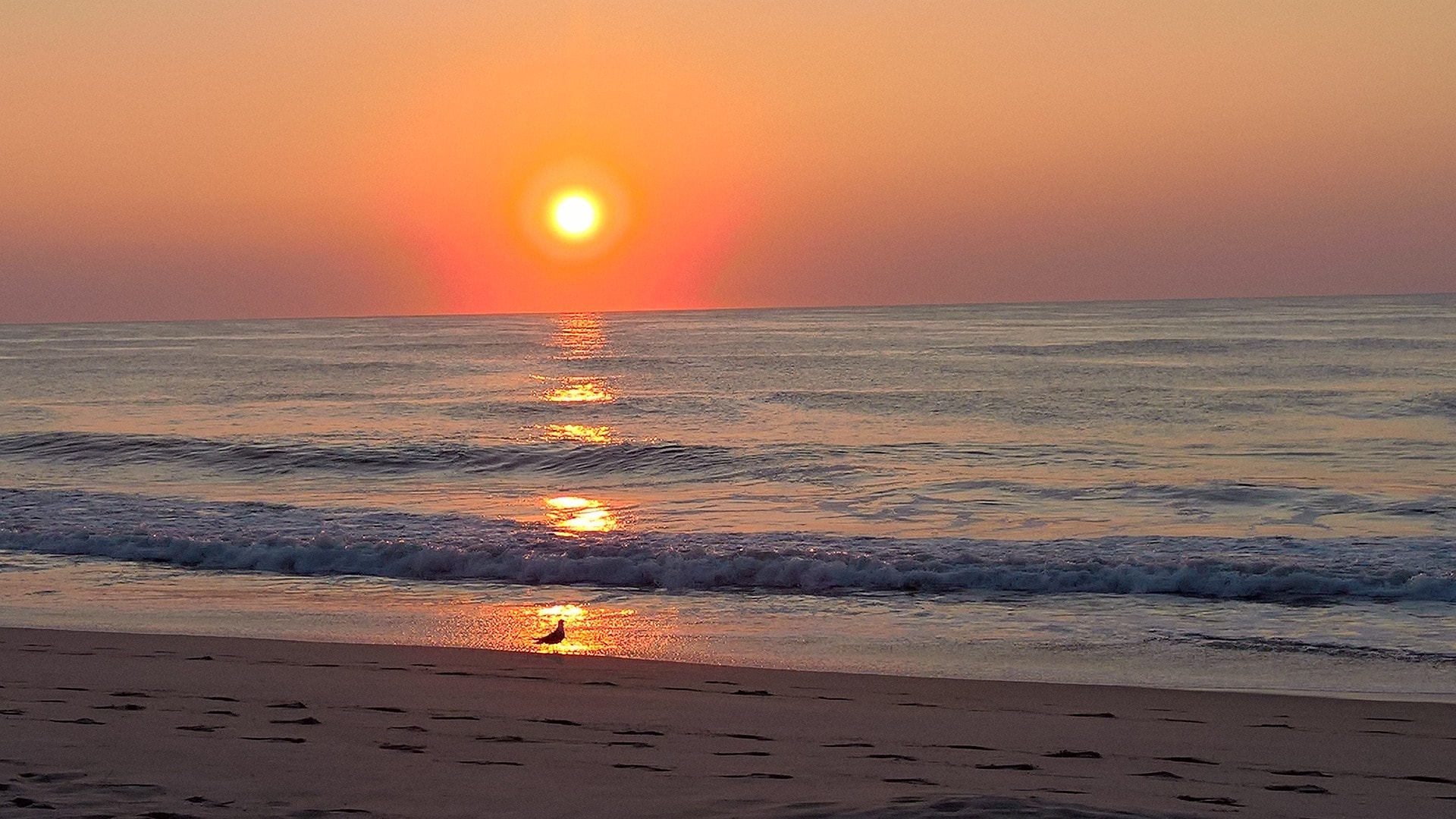Ocean City, MD