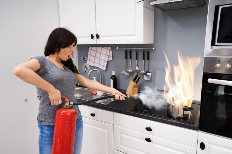 Kitchen Fire Andrey Popov Shutterstock 