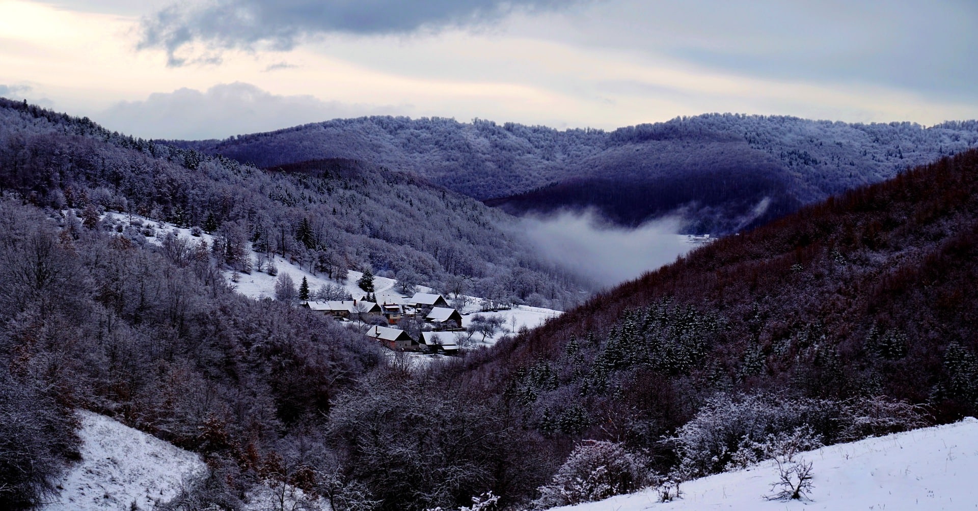 Apex, NC