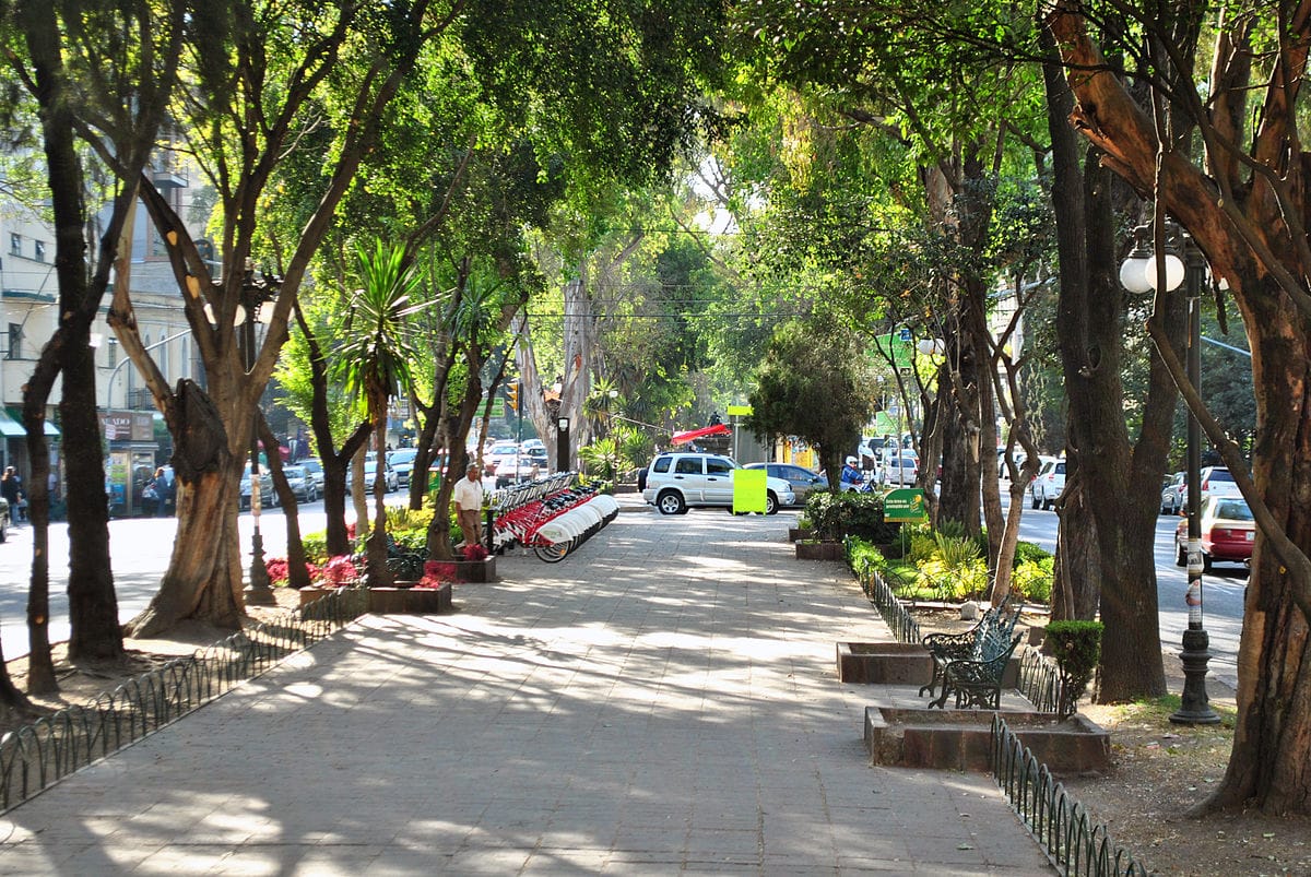Avenida Álvaro Obregón, Colonia Roma, Ciudad de México 2
