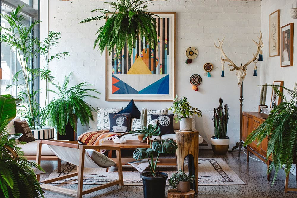 Biophilic Living Room Luisa Brimble Unsplash 