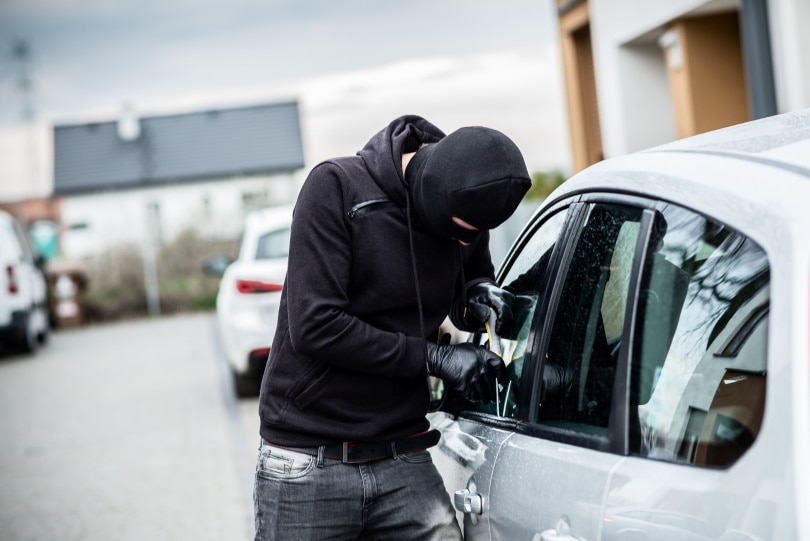 15 Car Theft Statistics and Facts (2024 Update) | House Grail