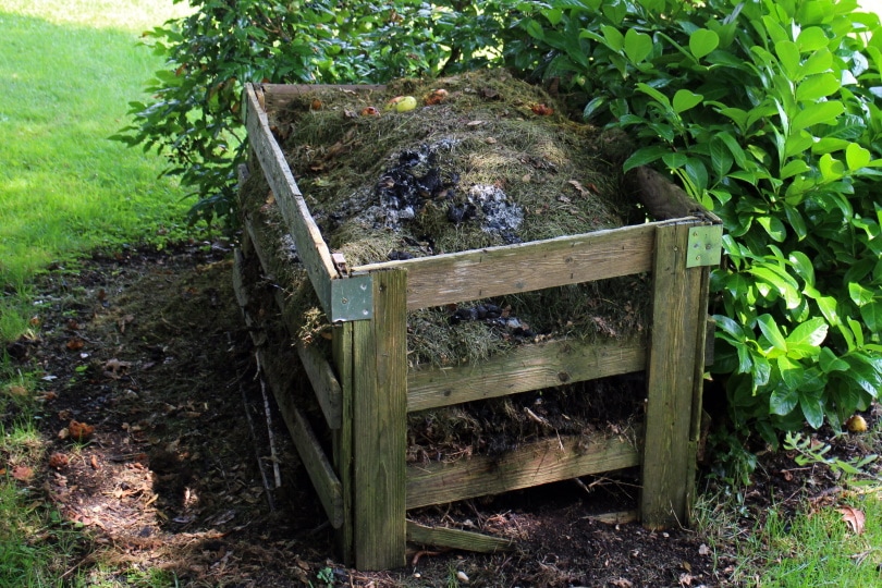 compost in garden