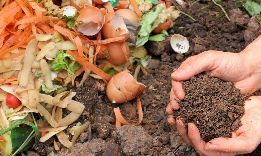 compost in mans hand